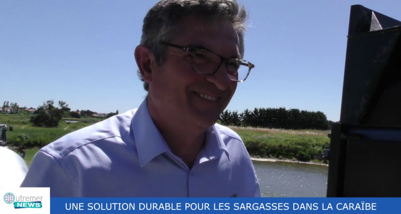 Une solution durable pour les Sargasses dans la Caraïbe