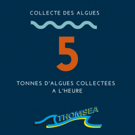 5 tonnes d'algues collectées à l'heure par thomsea