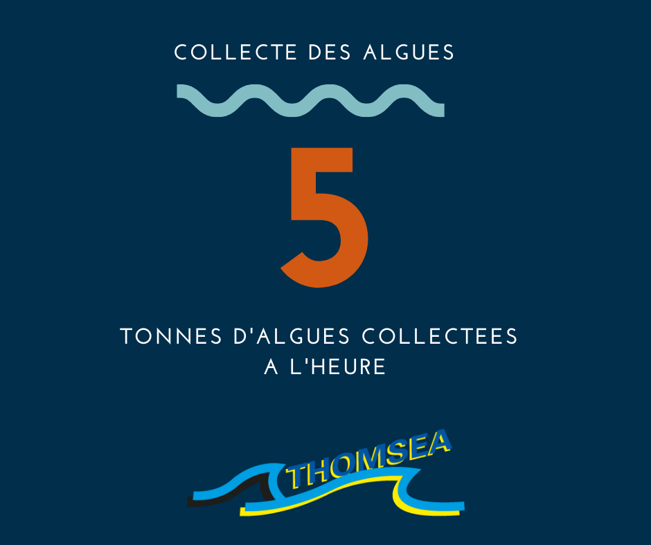 5 tonnes d'algues collectées à l'heure par thomsea